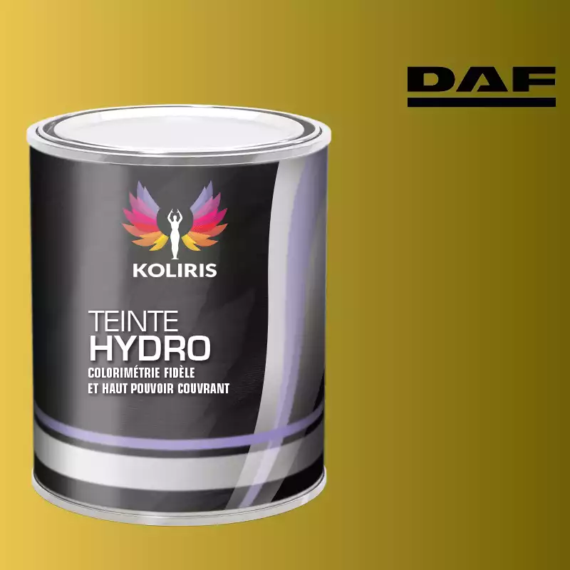 Peinture utilitaire - camion hydro Daf